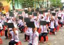 rungchongvang1 - rungchongvang1.JPG